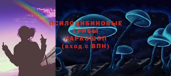 СК Арсеньев